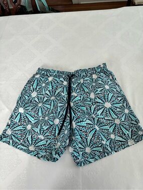 Vilebrequin men’s swim size Large